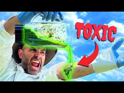 Poison Ivy Smoothie - BIG MISTAKE! thumbnail