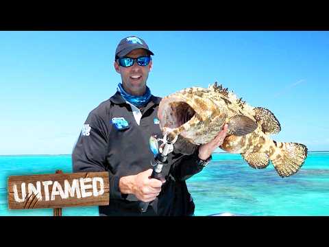 Catching WEIRDEST Fish Ever Seen! | Great Barrier Reef | The Fishing Show thumbnail