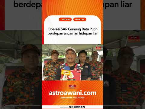 Operasi SAR Gunung Batu Putih berdepan ancaman hidupan liar thumbnail