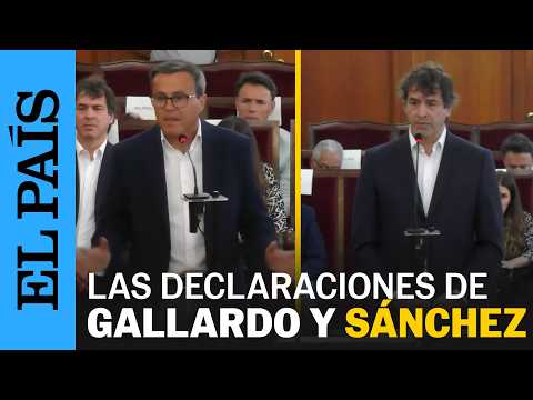 JUICIO | Las declaraciones del HERMANO DE SÁNCHEZ y GALLARDO en 4 minutos | EL PAÍS thumbnail
