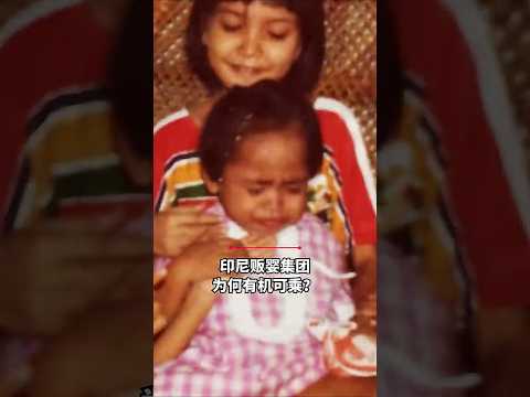 新加坡为何成为印尼走私婴儿的接收地？| How Indonesia’s baby syndicate trafficked babies into Singapore thumbnail