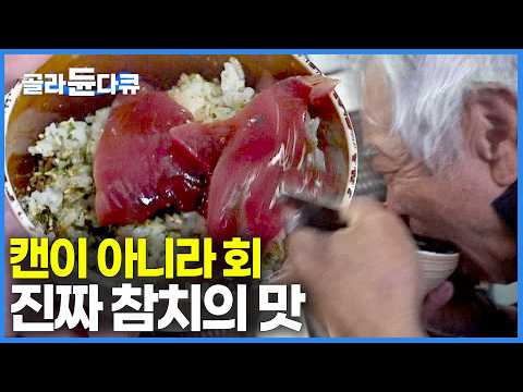 “한국인들은 잘 모른다” 일본 어부들이 잡자마자 바로 썰어 먹는 가다랑어 참치 회덮밥｜잡으면 바로 죽는 성질 급한 물고기｜만선 가다랑어잡이｜선상 먹방｜극한직업｜#골라듄다큐 thumbnail