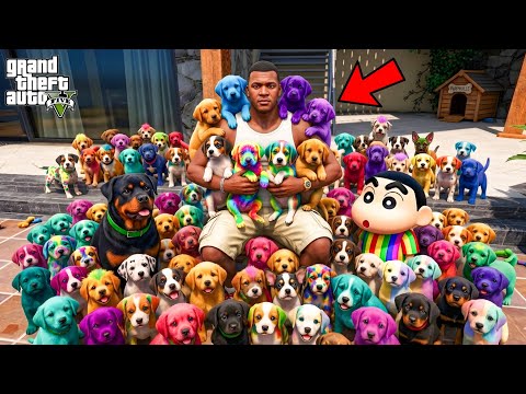 GTA 5 : Franklin & Shinchan Rescued Every Homeless Puppies!? | GTA 5 Bangla Gameplay thumbnail