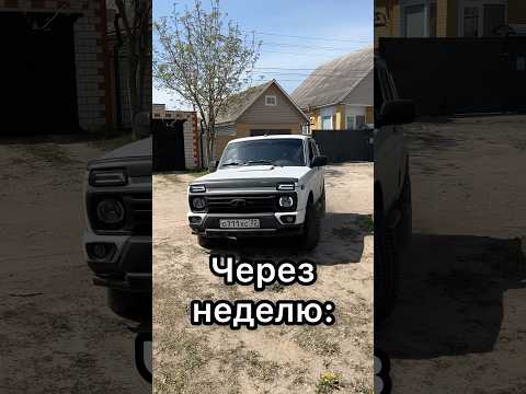 ВЗЯЛ В ДОЛГ😂 thumbnail