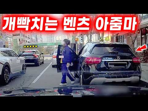 개념같은 건 밥말아먹은지 오래인 벤츠 아줌마 2026 최신블랙박스모음집 I 그것이 블랙박스 thumbnail