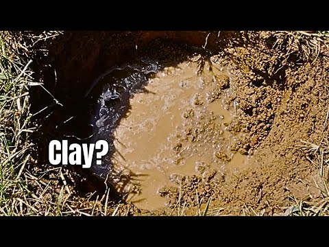 How to Plant in Clay Soil (Trees, Shrubs & Garden Beds) thumbnail