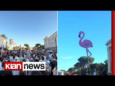Mes protestuesve edhe një ‘flamingo’! Pankarta, thirrje e flamuj prej afro 3 orësh thumbnail
