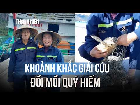 Xúc động khoảnh khắc giải cứu đồi mồi quý hiếm ở Côn Đảo thumbnail