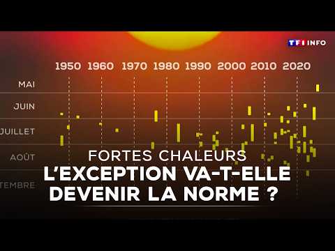 Fortes chaleur : l'exception va-t-elle devenir la norme ?｜TF1 INFO thumbnail