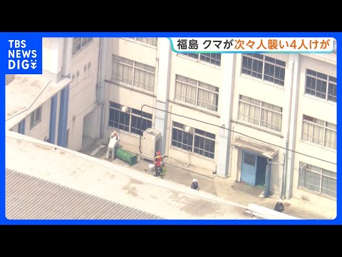 クマが工場・住宅地で人を次々に襲い男女4人けが クマは市内の会社敷地にとどまり警察が対応続ける　福島｜TBS NEWS DIG thumbnail