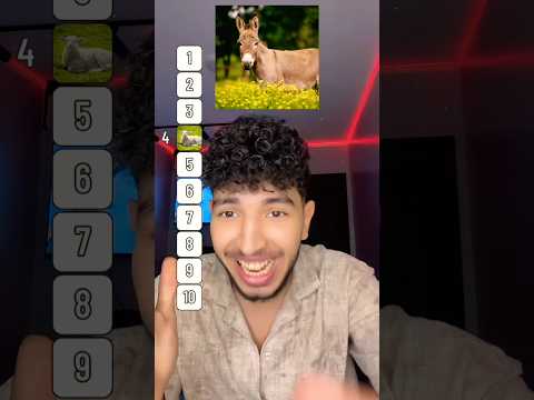 يارب اللي يعمل لايك وأشتراك ينجح السنادي? thumbnail