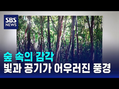 숲 속의 감각..빛과 공기가 어우러진 풍경 / SBS / 문화현장 thumbnail