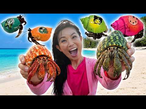 NEMU KELOMANG WARNA WARNI DI PANTAI !! HEWAN LUCU KARAKTER ! thumbnail
