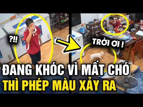 Chó nhà ĐI LẠC 3 TIẾNG ko về, cậu bé đang KHÓC HẾT NƯỚC MẮT thì PHÉP MÀU XẢY RA | Tin 3 Phút thumbnail