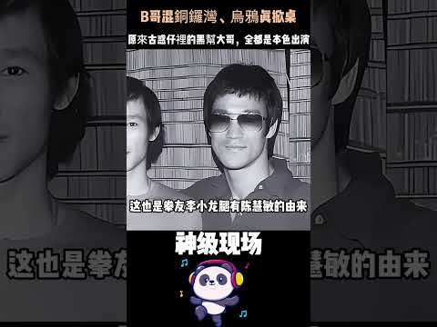 原來古惑仔全是本色出演！鄭伊健連髒話都不敢罵、全程靠配音——身邊的配角卻個個是真正黑幫大佬。#古惑仔 #鄭伊健 #陳浩南 #大B哥 #香港電影 thumbnail