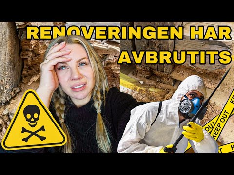 FYFAN! 🤢🪳 skadedjur i nya huset! thumbnail
