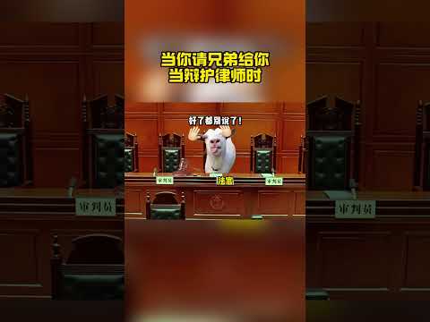 兄弟:你已急哭    法官:顶格严惩#猫meme #猫meme小剧场 #搞笑 #万万没想到 #兄弟情 thumbnail