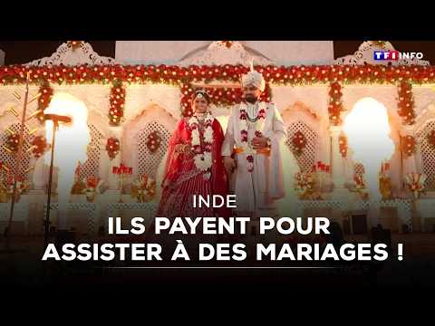 En Inde, ils payent pour assister à des mariages !｜TF1 INFO thumbnail