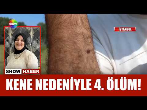 Kene kabusu yeniden başladı! thumbnail