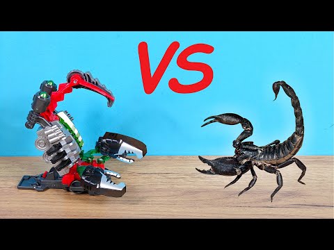 ¡WILD SCREECHER vs ESCORPION VIVO! Reseña de la temporada 5! thumbnail