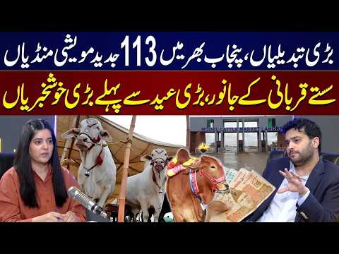 Good News! Cheap Qurbani Animals in Punjab For Eid | Chairman Cattle Market Ibrahim Tariq Reveals thumbnail