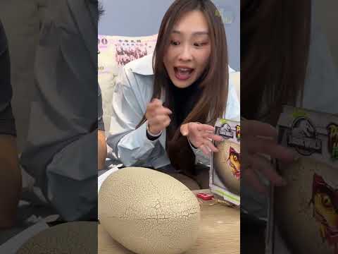 恐龍在我們眼前出生了！！！ thumbnail