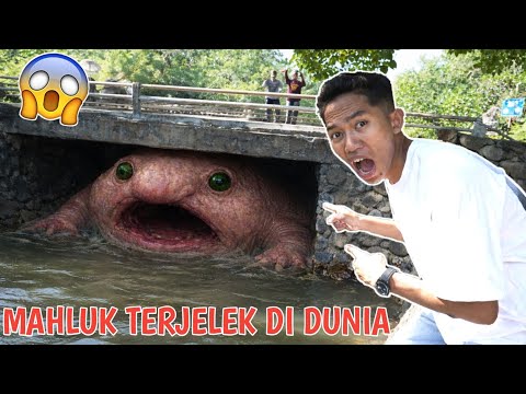 PENAMPAKAN IKAN TERJELEK DIDUNIA IKAN AXOLOTL RAKSASA??😱 Arik PANIK | Mikael TubeHD thumbnail