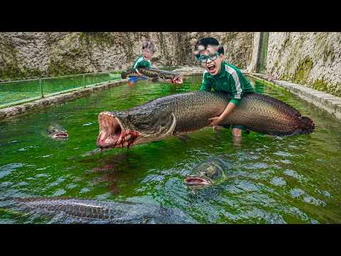 Parah! 2 Tahun KOLAM Nenek Tak dikuras!!! Ikan Monster GIGAS Sudah Sebesar ini... thumbnail
