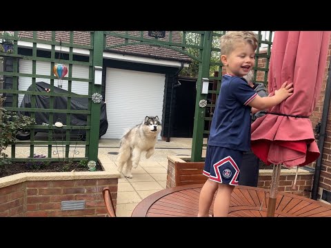 Guard Dog Gets Defeated By Arch Nemesis! (The Only Thing That Can Stop Him!!) thumbnail