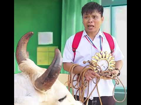Nganong magbuot man kun unsa akong favorite pet?? thumbnail