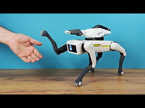 Mi nueva mascota: ¡el perro robot Spot de China! thumbnail