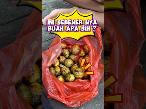 Ini sebenernya buah apa sih? #videolucu #wakmi #buahbuahan #comedy #sketsakomedi #lucu thumbnail