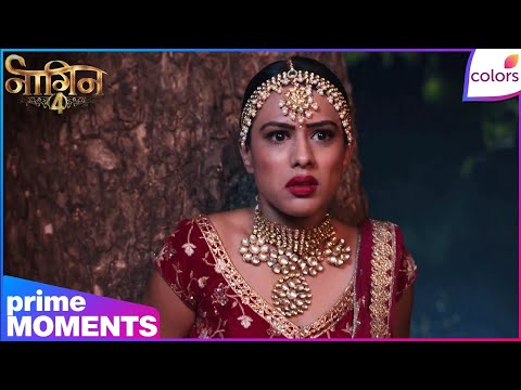 Naagin S4 | Highlights | Ep. 15 | Brinda Hunts The Killers! No Mercy For Murderers | Colors TV thumbnail