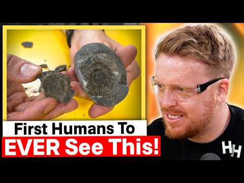 We Cracked Open 180 MILLION Year Old Fossils And Found THIS thumbnail