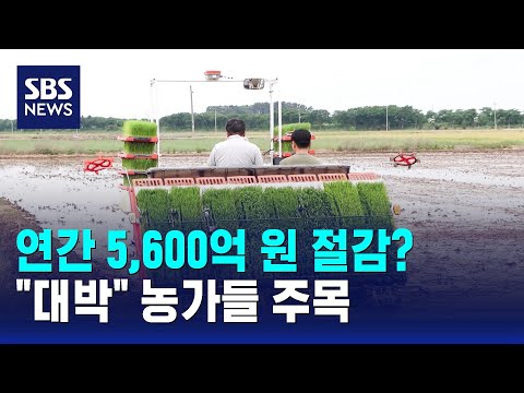 연간 5,600억 원 절감?.."대박" 농가들 주목 / SBS thumbnail