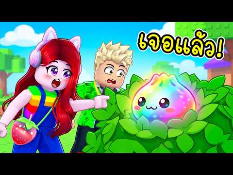 พี่ฝนพี่เอก ตามหาสกุชชี่ซาลาเปา ตัวซีเครทซ่อนอยู่ Roblox Find the Dumpling 🥟🌈 thumbnail