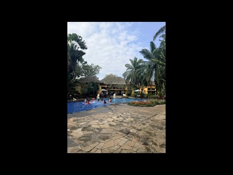 Berenang thumbnail