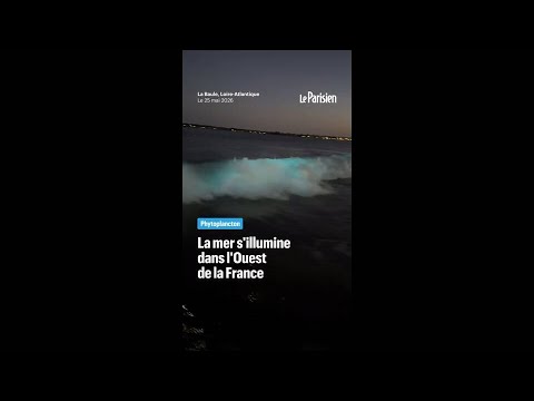 Des vagues bioluminescentes filmées la nuit sur la côte Atlantique thumbnail
