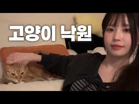 잠깐 앉아요 따뜻한 호두와 하냥이 있어요 [프로미스나인 송하영] thumbnail