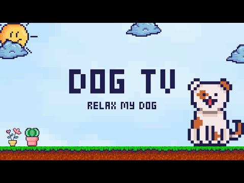 20 HOUR Relaxing Adventure TV for Bored Dogs! thumbnail