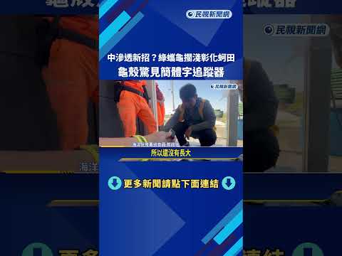 綠蠵龜擱淺彰化蚵田 漁民憂對岸放追蹤器"滲透"－民視新聞 thumbnail