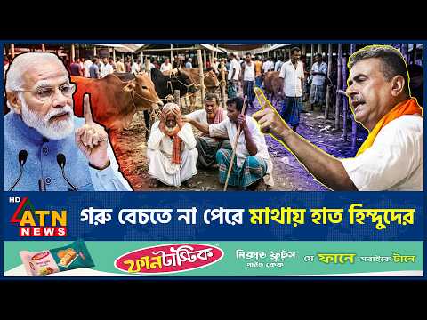 ভারতে গরু কিনছেনা মুসলিমরা, মাথায় হাত হিন্দু ব্যবসায়ীদের | Indian Cow | Hindu Traders | ATN News thumbnail