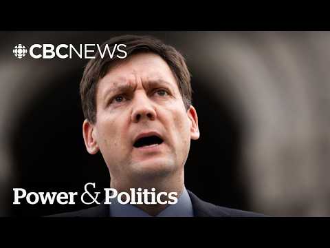 Canada cannot work if 'separatist premiers' get all the attention: Eby | Power & Politics thumbnail