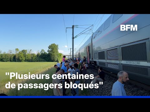 Canicule: un TGV arrêté en pleine voie au nord de Lyon depuis plusieurs heures thumbnail