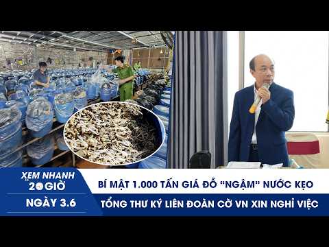 XN 20H 3/6: Bí mật 1.000 tấn giá đỗ “ngậm” nước kẹo | Tổng thư ký Liên đoàn Cờ VN xin nghỉ việc thumbnail