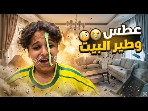 سكتش البطريق عطس وطير البيت ?? thumbnail
