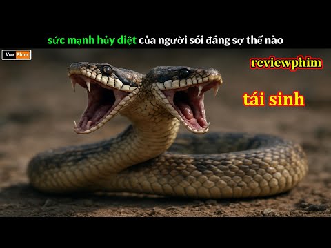 sức mạnh hủy diệt của người sói đáng sợ thế nào? - Review phim thumbnail