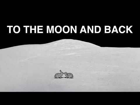 Bunny Phyoe - To The Moon And Back [Official Lyric Video] thumbnail