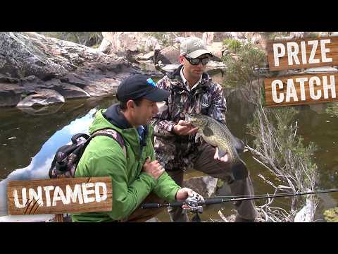 Crazy Cod Fishing Catches | Remote Australia | The Fishing Show thumbnail