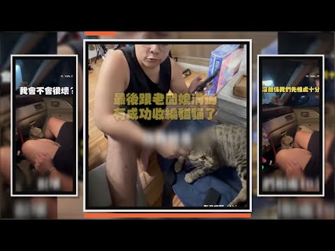 親人浪貓主動上車　他們思考後決定帶回家收養 thumbnail
